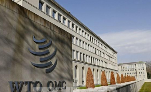 WTO cho phép EU áp thuế trả đũa Mỹ trong tranh chấp về ô liu