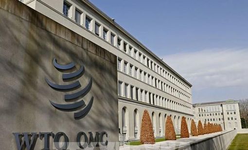 WTO cho phép EU áp thuế trả đũa Mỹ trong tranh chấp về ô liu