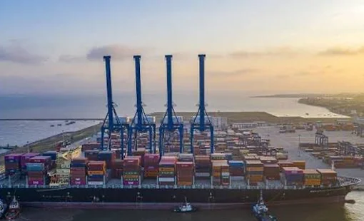 Công ty logistics chi 2.000 tỷ đầu tư chứng khoán, tạm lãi 221 tỷ đồng