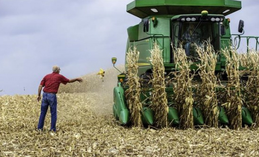 Nhà Trắng dự định tung gói cứu trợ nông dân hàng chục tỷ USD giữa căng thẳng thương mại