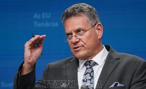 EU kỳ vọng thuế thép mới sẽ thúc đẩy đàm phán bảo hộ với Mỹ
