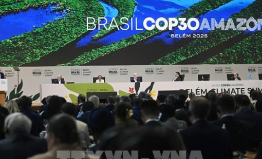 Điểm tin kinh tế thế giới nổi bật ngày 21/11