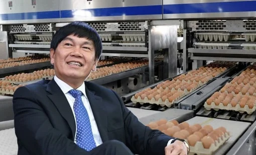 Quân bài mới của ông Trần Đình Long: Công ty nông nghiệp lãi nghìn tỷ, định giá vượt vốn hóa Dabaco, BAF Việt Nam