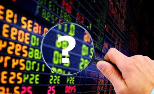 VN-Index dự báo sẽ vượt 1.700 điểm, CTCK gọi tên nhóm cổ phiếu kỳ vọng hút tiền mạnh