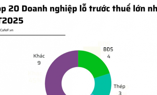 20 doanh nghiệp lỗ lớn nhất 9T2025: Novaland đầu bảng, ngành bất động sản áp đảo, 14 doanh nghiệp lỗ trăm tỷ