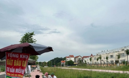 VARs đề xuất người đấu giá rồi bỏ cọc bị cấm tham gia đến 10 năm