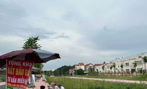 VARs đề xuất người đấu giá rồi bỏ cọc bị cấm tham gia đến 10 năm