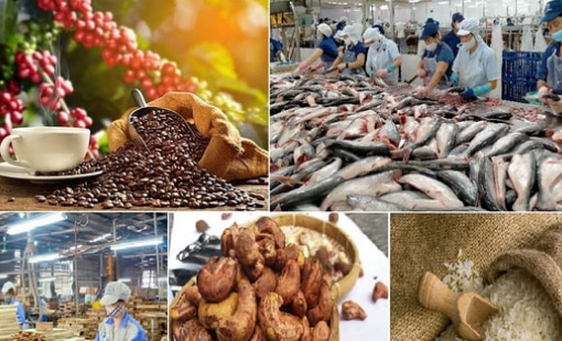 Kim ngạch xuất khẩu nông lâm thủy sản ước đạt hơn 58 tỷ USD trong 10 tháng