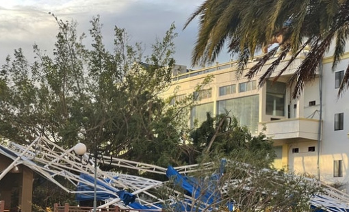 Bão số 13 tàn phá Gia Lai, nông trường chuối của Bầu Đức ra sao?