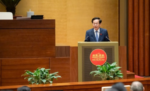 Viên chức chính thức được góp vốn và tham gia điều hành doanh nghiệp