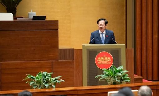 Viên chức chính thức được góp vốn và tham gia điều hành doanh nghiệp
