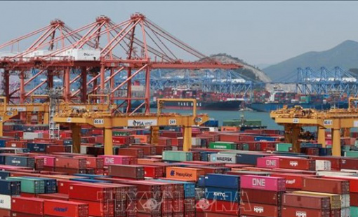 Mỹ miễn thuế đối với rong biển đã qua xử lý của Hàn Quốc