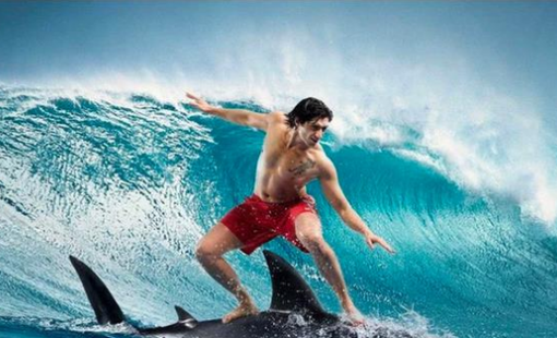 VN-Index bật tăng sau cú rơi 100 điểm: Chuyên gia chỉ ra tín hiệu quan trọng nhận biết thị trường tạo đáy