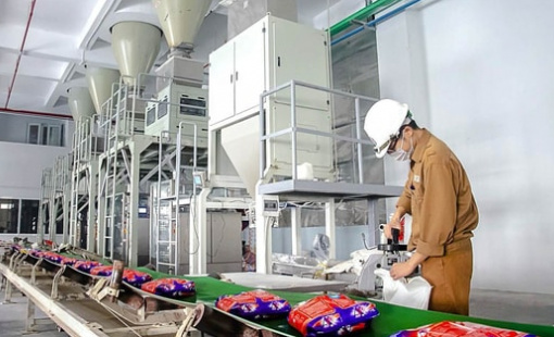 Dragon Capital không còn là cổ đông lớn tại Hóa chất Đức Giang trước khi cổ phiếu lao dốc