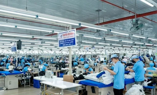 Công ty Dệt may trả cổ tức 25% bằng tiền mặt