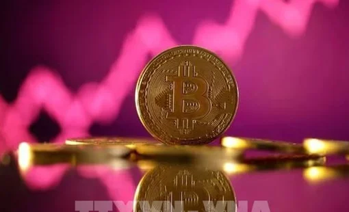 Nhà đầu tư dài hạn bán mạnh, bitcoin chịu áp lực lớn