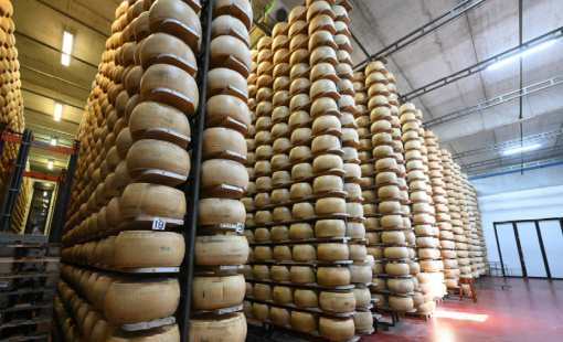 Gồng mình chống đỡ cú sốc từ chính sách thuế quan của Mỹ, kinh tế EU lao đao