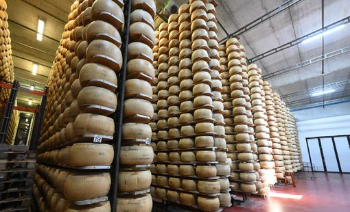 Gồng mình chống đỡ cú sốc từ chính sách thuế quan của Mỹ, kinh tế EU lao đao