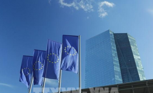 ECB thận trọng trước ngã rẽ chính sách