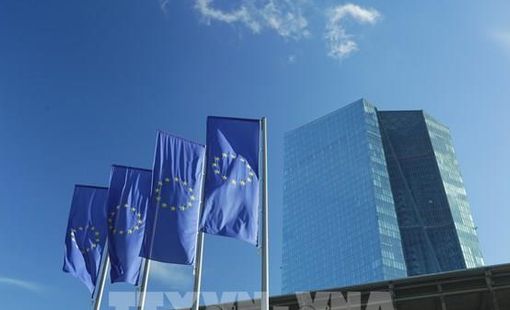 ECB thận trọng trước ngã rẽ chính sách