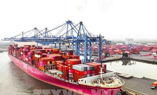 Mercosur và Việt Nam khởi động đàm phán Hiệp định thương mại ưu đãi
