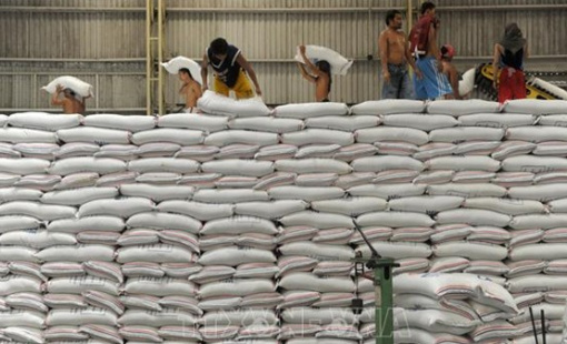 Gạo dự trữ của Indonesia dự kiến đạt kỷ lục trong năm 2025