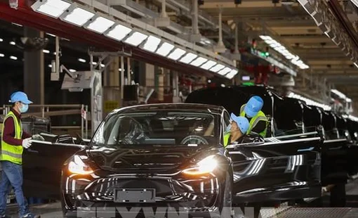 Doanh số xe Tesla năm 2025 giảm gần 40% tại EU