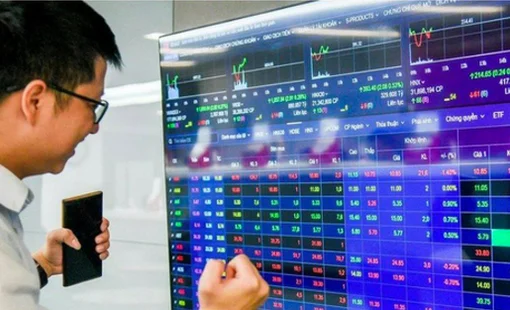 Chứng khoán dự báo có "sóng Tết", chuyên gia chỉ ra những nhóm cổ phiếu thường hút mạnh dòng tiền