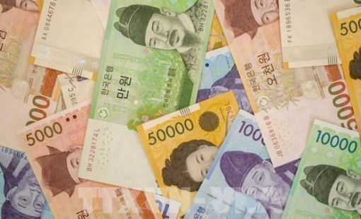 Hàn Quốc nỗ lực ngăn đà xuống giá của đồng won