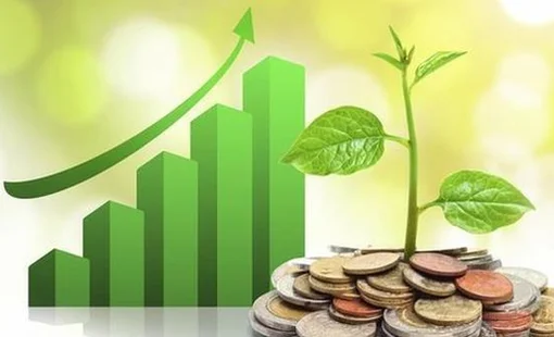 Lịch chốt quyền cổ tức tuần 29/12– 2/1: Cổ tức tiền mặt cao nhất 30%