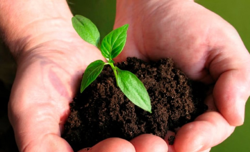 CTCK điểm tên doanh nghiệp phân bón tiềm năng 2026, kỳ vọng tăng trưởng 2 chữ số