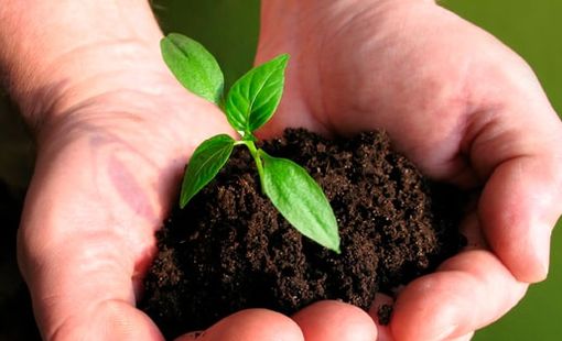 CTCK điểm tên doanh nghiệp phân bón tiềm năng 2026, kỳ vọng tăng trưởng 2 chữ số