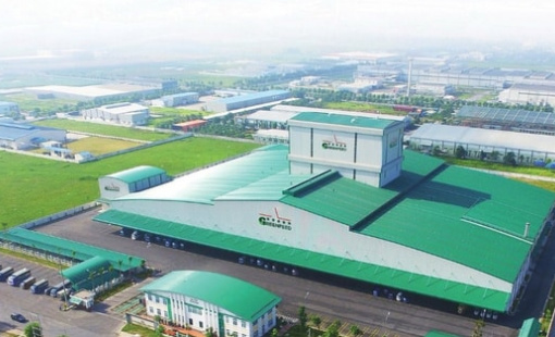 Một đại gia chăn nuôi báo lãi 1.700 tỷ trong 6T2025, gần gấp đôi Nông nghiệp Hòa Phát và Dabaco