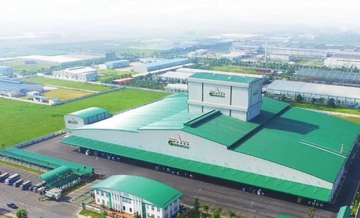 Một đại gia chăn nuôi báo lãi 1.700 tỷ trong 6T2025, gần gấp đôi Nông nghiệp Hòa Phát và Dabaco