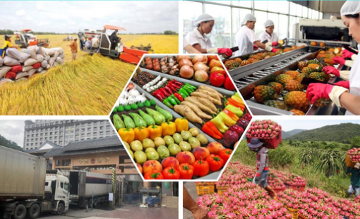 Tổng kim ngạch xuất khẩu nông, lâm, thủy sản ước đạt 70,09 tỷ USD