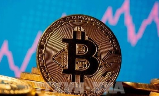 Sự sụp đổ của các "kho bạc tài sản kỹ thuật số"