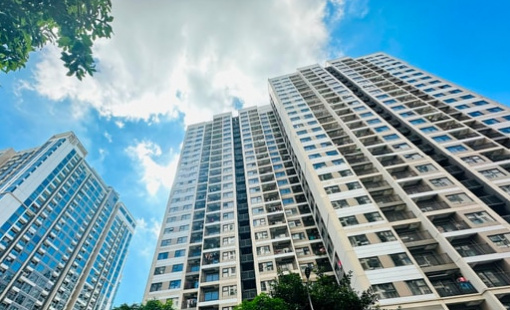 Tin vui: Giá chung cư Hà Nội và TP.HCM chững lại