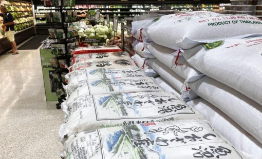 Nhập khẩu gạo tư nhân Nhật Bản lập kỷ lục, chính phủ áp thuế bảo vệ sản lượng