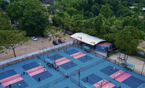 Đất nông nghiệp bị biến tướng theo trào lưu pickleball