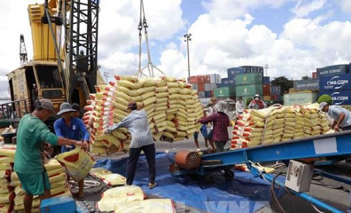 Giá gạo châu Á ổn định do nhu cầu yếu và nguồn cung tăng