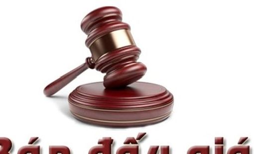Hải Phòng sắp đấu giá 34 lô đất gần biển, giá khởi điểm từ 3,1 đến 6,6 tỷ đồng mỗi lô