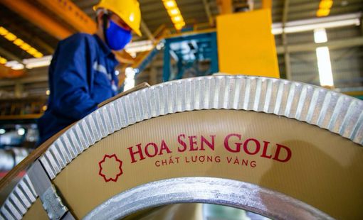 Hoa Sen Group đặt mục tiêu lãi 400 - 500 tỷ đồng, dự kiến mua lại 50 - 100 triệu cổ phiếu quỹ
