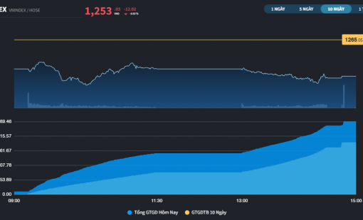 Thị trường giảm hơn 10 điểm ngay phiên đầu xuân Ất Tỵ