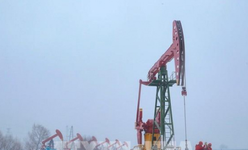 Dự trữ tăng, “vàng đen” rớt giá