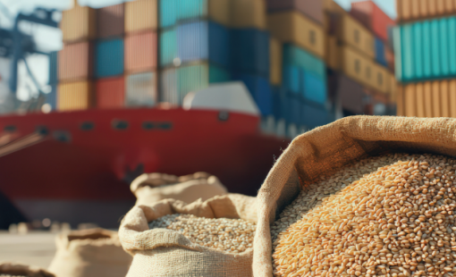 Năm bội thu của nông sản Việt và một điều khác biệt