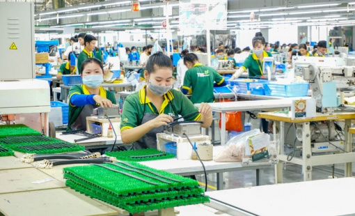 Gần 22.800 doanh nghiệp quay trở lại hoạt động trong tháng 1/2025