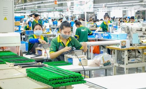 Gần 22.800 doanh nghiệp quay trở lại hoạt động trong tháng 1/2025