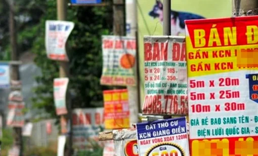 10 công ty BĐS lãi ngàn tỷ năm 2024: Riêng 2 công ty 'họ Vin' chiếm gần 80% tổng lợi nhuận