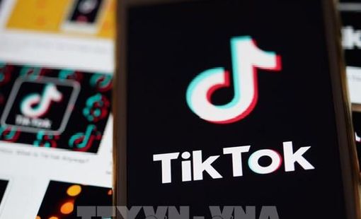 Tỷ phú Musk không quan tâm đến việc mua lại TikTok
