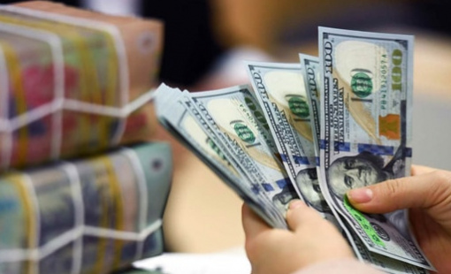 Dự báo xu hướng tỷ giá USD/VND trong quý 1/2025